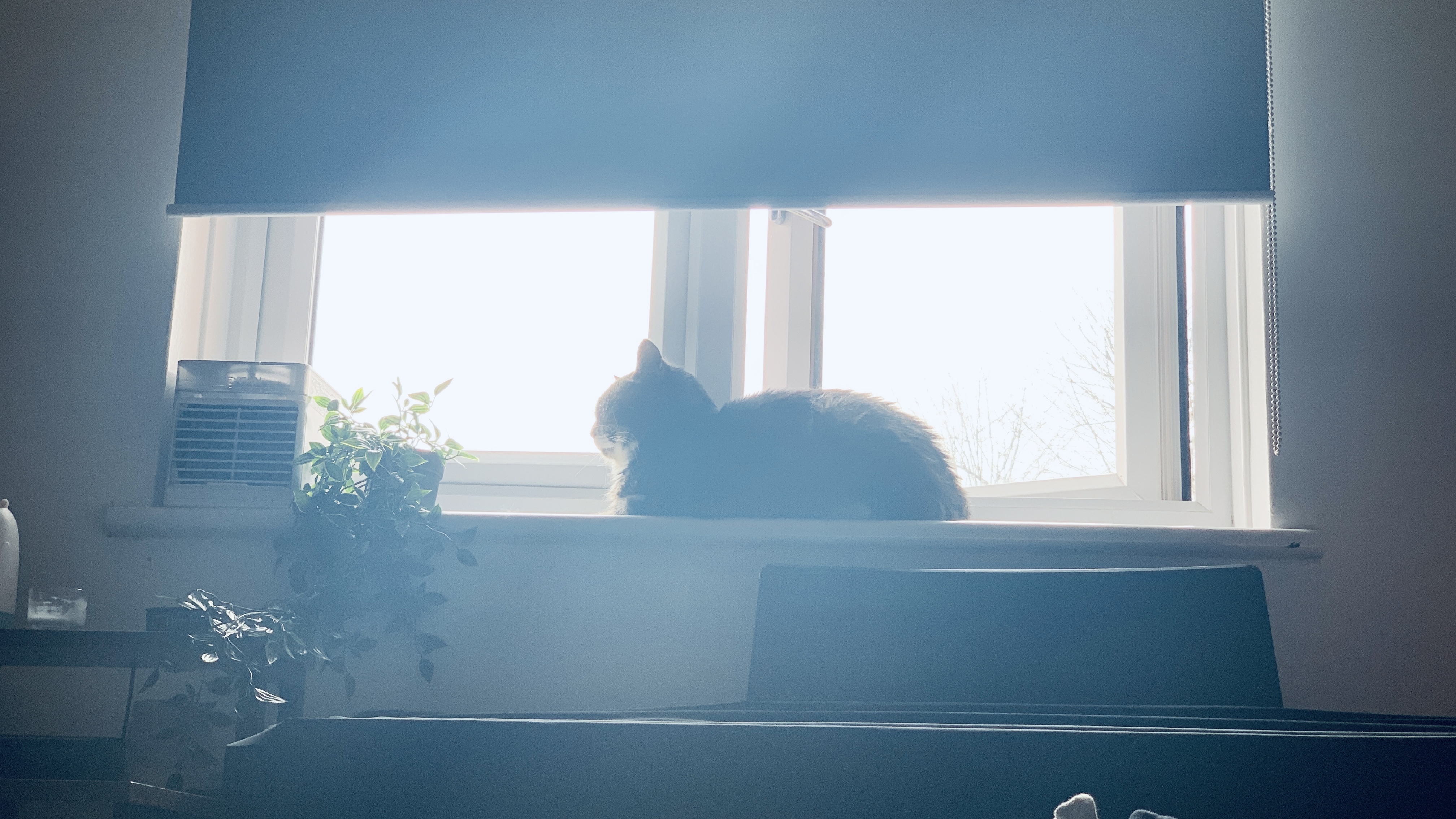 strelok loafing